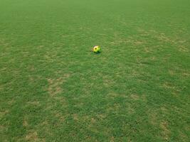 ballon de football coloré sur l'herbe sur un terrain photo