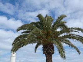 île de lanzarote en espagne photo