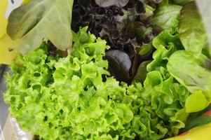 salade verte et rouge fraîche à vendre au marché aux légumes, gros plan. feuilles de laitue dans un comptoir à légumes. légume. nourriture saine. photo