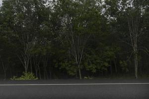 vue horizontale du temps pluvieux de la route asphaltée en thaïlande. terrain avant d'herbe verte. zone agricole d'hévéas. sous le ciel bleu. ton sombre des nuages du ciel nocturne obscurcissant le soleil. photo