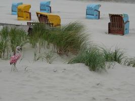 à la plage de l'île de juist photo