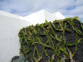 île de lanzarote en espagne photo