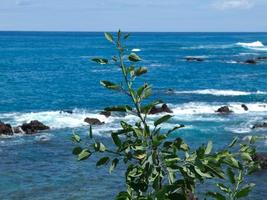 l'île espagnole de tenerife photo