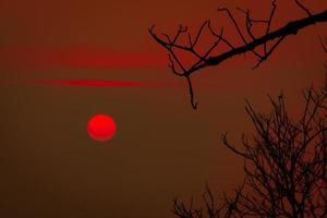 belle silhouette arbre sans feuilles et ciel coucher de soleil rouge. scène romantique et paisible du soleil et du ciel rouge au coucher du soleil avec un motif de beauté de branche. saison d'automne avec une nature tranquille. beauté dans la nature. photo