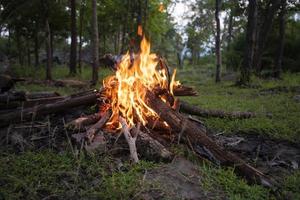 forêt de feu de camp - feu de camping brûlant du bois photo