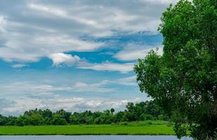forêt d'arbres verts derrière l'étang. belle vue sur le lac avec ciel bleu et nuages blancs moelleux. arbre vert et champ d'herbe autour de l'étang. climat tropical en été. paysage naturel. air frais. photo