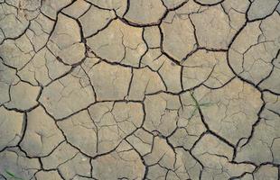 le changement climatique et la sécheresse des terres. crise d'eau. climat aride. craquer le sol. le réchauffement climatique. problème d'environnement. catastrophe naturelle. fond de texture de sol sec. la peau sèche et craquelée a besoin d'un concept d'humidité. photo