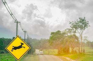 voiture suv bleue du touriste conduisant avec prudence pendant le voyage sur la route goudronnée près du panneau de signalisation jaune avec des cerfs sautant à l'intérieur du panneau