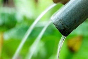 mise au point sélective sur la gouttière sale sur les feuilles vertes floues de la plante à côté de la maison dans les zones rurales de la thaïlande. eau de pluie s'écoulant d'un tuyau d'évacuation galvanisé. Saison des pluies. photo