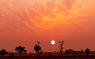 ciel coucher de soleil rouge et orange avec forêt de diptérocarpes à feuilles caduques dans le nord-est de la thaïlande. beau ciel coucher de soleil en été. grand soleil rouge au-dessus de l'arbre le soir. paysage tranquille et paisible. ciel romantique. photo