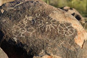pétroglyphe photo
