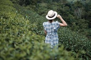 femme heureuse touriste en robe bleue et chapeau profitez d'un beau jardin de thé.voyageur visitant dans les collines naturelles verdoyantes le matin. concept de voyage, vacances, voyage et voyage photo