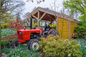 Tracteur rouge dans le parc Keukenhof, lisse, Hollande, Pays-Bas photo