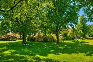 Herbe verte dans un parc ensoleillé à begren op zoom, Hollande, Pays-Bas photo