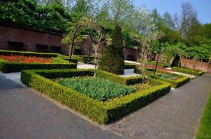 jardin avec de petits buissons dans le parc de keukenhof en Hollande photo