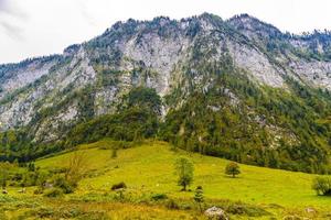 Grass meadow à koenigssee, konigsee, parc national de Berchtesgaden, Bavière, Allemagne photo