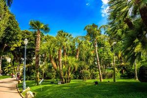 Palmiers dans le parc de la condamine, monte-carlo, monaco, cote d'azur, cote d'azur photo