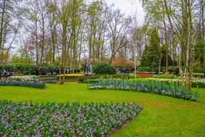 Tulipes en fleurs dans le parc de Keukenhof, lisse, Hollande, Pays-Bas photo