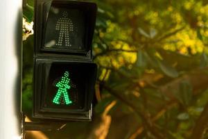 signaux piétons sur poteau de feux de circulation. panneau de passage pour piétons pour marcher en toute sécurité dans la ville. signal de passage pour piétons. signal de feu vert sur fond flou d'arbre plumeria. photo