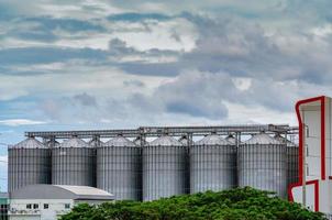 silo agricole à l'usine d'alimentation. grand réservoir pour stocker le grain dans la fabrication d'aliments pour animaux. tour de stockage de semences pour la production d'aliments pour animaux. aliments commerciaux pour les industries du bétail, du porc et de la pêche. photo