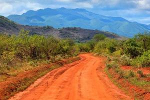 route de terre rouge et savane. tsavo ouest, kenya, afrique photo