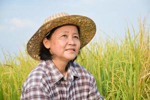 portrait d'une femme asiatique âgée qui porte un chapeau en feuille de palmier et une chemise à carreaux, est assise près de la rizière jaune et regarde vers le ciel, mise au point douce et sélective, concept d'agriculteur heureux. photo