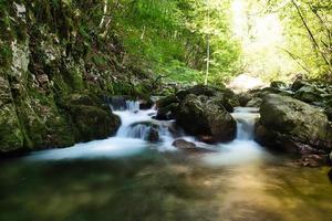 eau douce dans un petit ruisseau de montagne photo