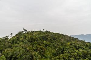 jungle chinoise, île de hainan photo