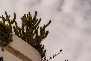 architecture traditionnelle tunisienne photo