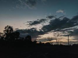 dans la silhouette d'une vue sur la forêt et le coucher du soleil photo