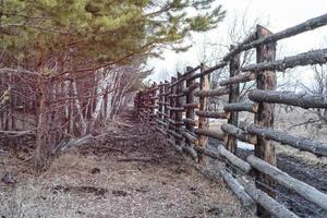 clôtures pour animaux sauvages dans la forêt. photo