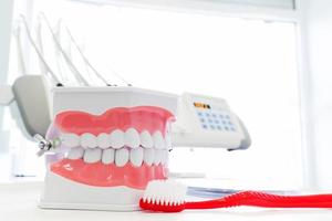 modèle de mâchoire dentaire et brosse à dents photo
