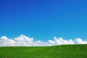 paysage d'été vert photo