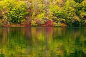 lac en forêt. eau transparente. photo