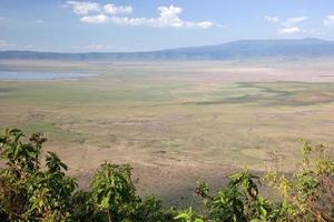 cratère du ngorongoro en tanzanie, afrique. panorama photo