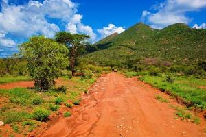 route de terre rouge, buisson avec savane. tsavo ouest, kenya, afrique photo