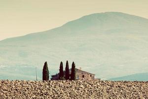 paysage toscan. terrain, maison de ferme parmi les cyprès. italie, millésime photo