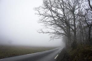 route dans le paysage avec brouillard