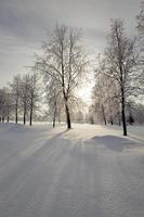 hiver photo