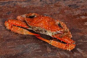 crabe bouilli - prêt à manger photo