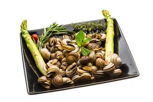 escargot aux asperges, romarin, thymus et tomate photo