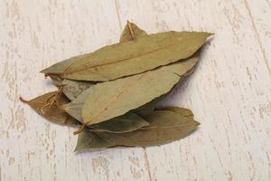 feuilles de laurier sèches photo