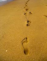 des pas dans le sable photo