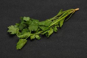 feuilles de coriandre verte mûre fraîche photo