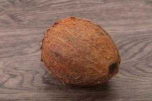 Noix de coco tropicale brune sur fond photo