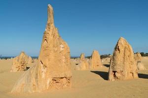 parc national de nambung, australie occidentale photo