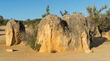 parc national de nambung, australie occidentale photo