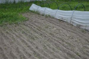 serre et serre pour planter des légumes dans le village photo