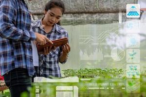 fermier, propriétaire d'une ferme de légumes biologiques dans la serre inspecte la qualité des jeunes légumes biologiques pour la prochaine étape avec l'infographie technologique. photo