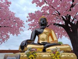 statue de bouddha en texture or et noire sous le ciel de fond de feuille rose photo